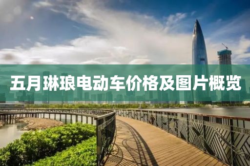 五月琳琅电动车价格及图片概览