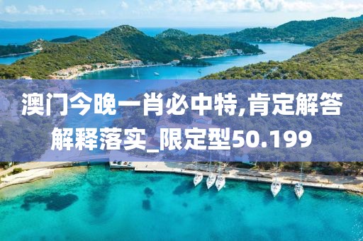 澳门今晚一肖必中特,肯定解答解释落实_限定型50.199