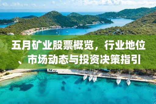 五月矿业股票概览，行业地位、市场动态与投资决策指引