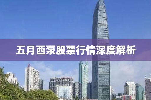五月西泵股票行情深度解析