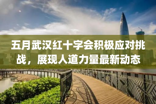 五月武汉红十字会积极应对挑战，展现人道力量最新动态