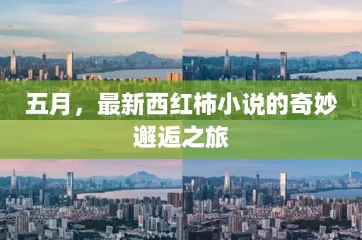 五月，最新西红柿小说的奇妙邂逅之旅