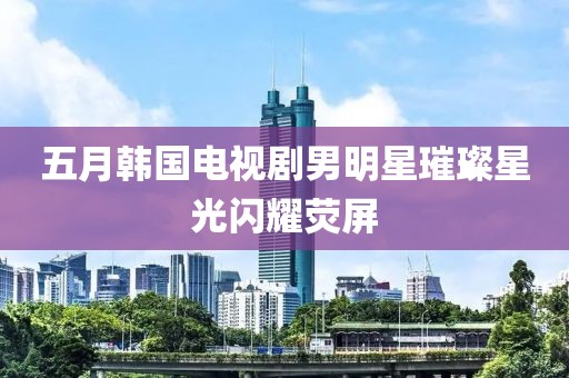五月韩国电视剧男明星璀璨星光闪耀荧屏