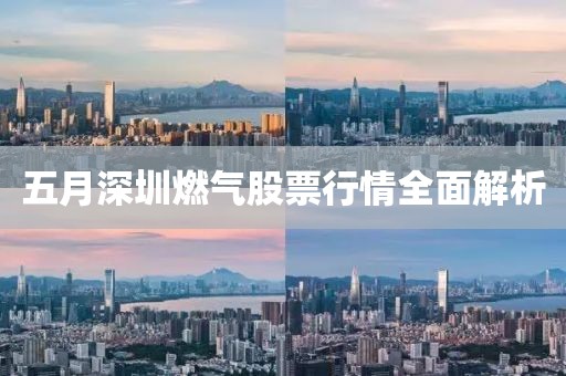 五月深圳燃气股票行情全面解析