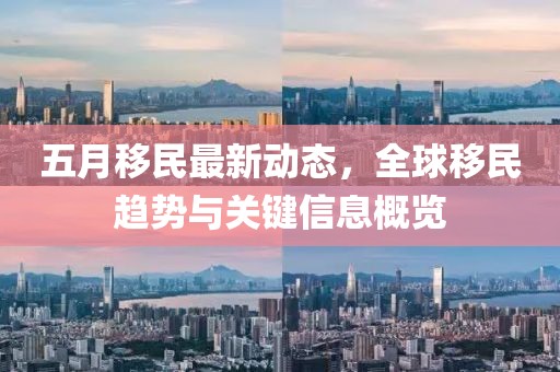 五月移民最新动态，全球移民趋势与关键信息概览