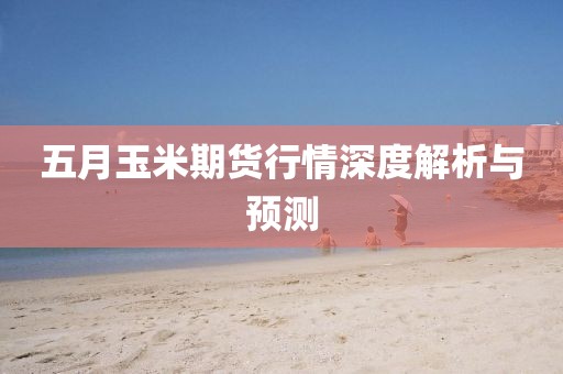 五月玉米期货行情深度解析与预测