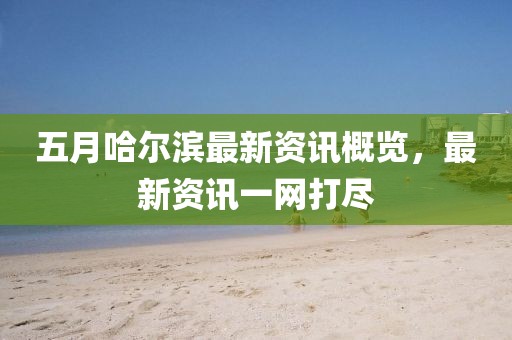 五月哈尔滨最新资讯概览，最新资讯一网打尽