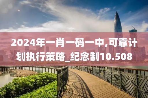 2024年一肖一码一中,可靠计划执行策略_纪念制10.508