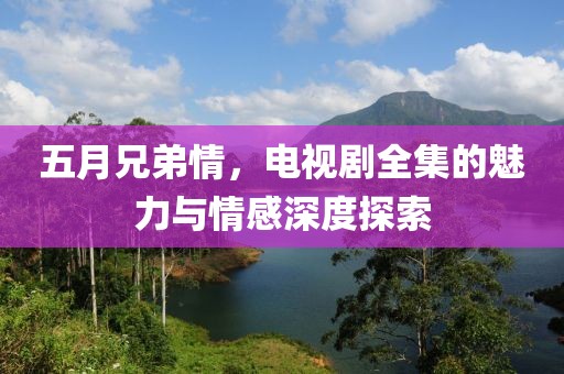 五月兄弟情，电视剧全集的魅力与情感深度探索