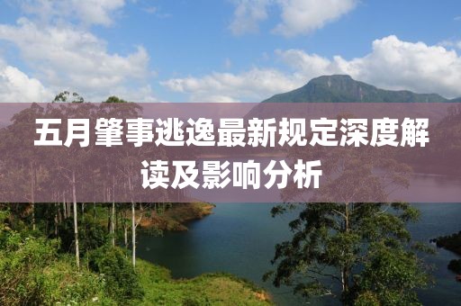 五月肇事逃逸最新规定深度解读及影响分析