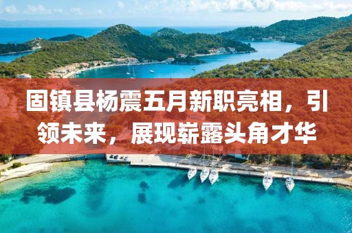 固镇县杨震五月新职亮相，引领未来，展现崭露头角才华