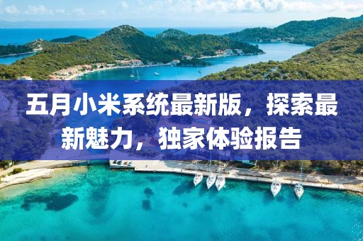2025年5月26日