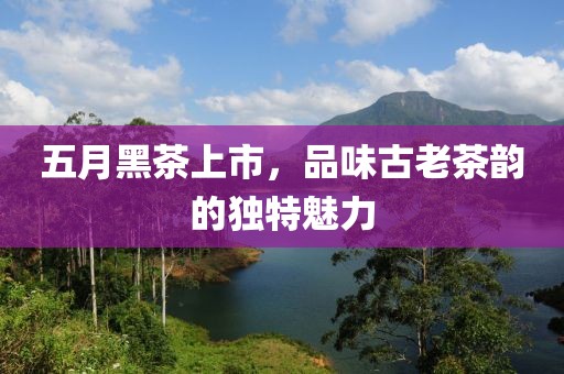 五月黑茶上市，品味古老茶韵的独特魅力