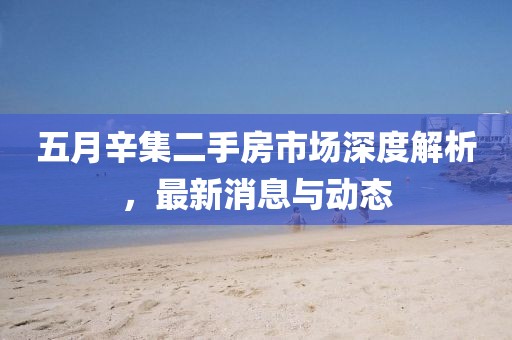 五月辛集二手房市场深度解析，最新消息与动态