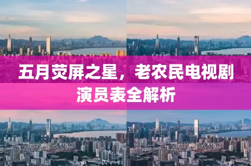 五月荧屏之星，老农民电视剧演员表全解析