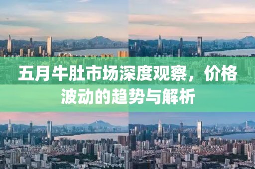五月牛肚市场深度观察，价格波动的趋势与解析