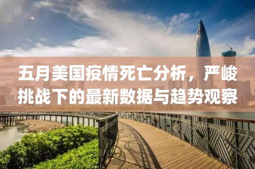 五月美国疫情死亡分析，严峻挑战下的最新数据与趋势观察