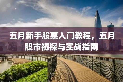 五月新手股票入门教程，五月股市初探与实战指南