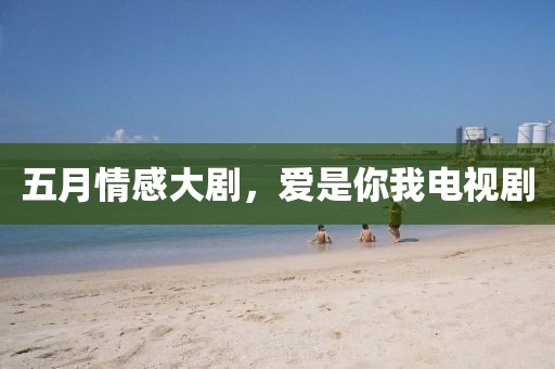 五月情感大剧，爱是你我电视剧