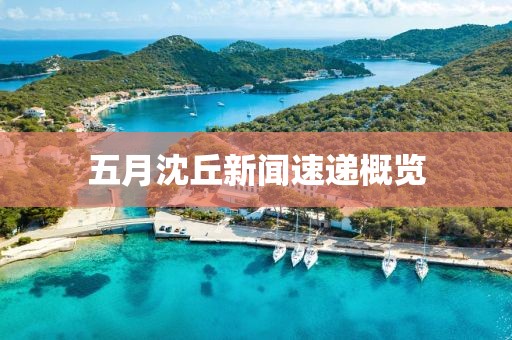 五月沈丘新闻速递概览