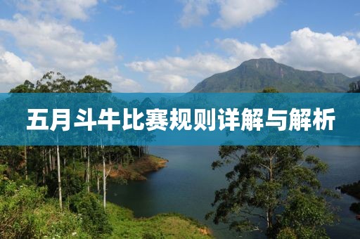 五月斗牛比赛规则详解与解析