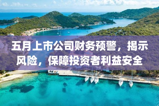 五月上市公司财务预警，揭示风险，保障投资者利益安全
