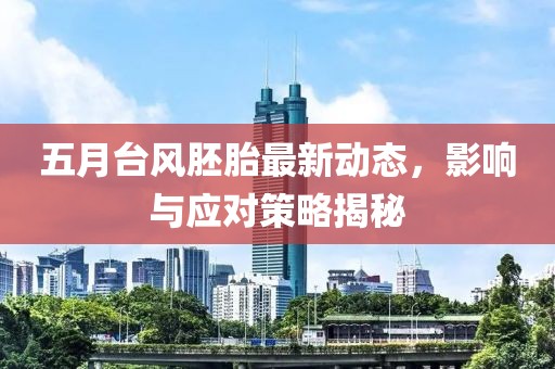 五月台风胚胎最新动态，影响与应对策略揭秘