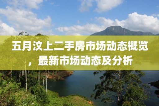 五月汶上二手房市场动态概览，最新市场动态及分析