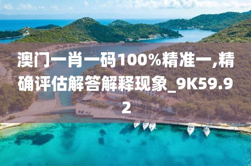 澳门一肖一码100%精准一,精确评估解答解释现象_9K59.92