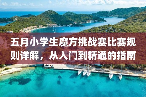 五月小学生魔方挑战赛比赛规则详解，从入门到精通的指南