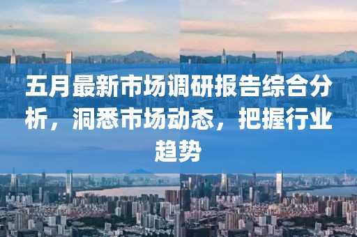 五月最新市场调研报告综合分析，洞悉市场动态，把握行业趋势
