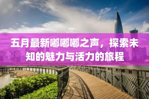 五月最新嘟嘟嘟之声，探索未知的魅力与活力的旅程