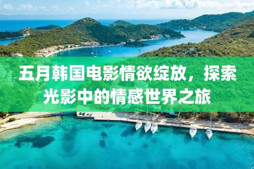 五月韩国电影情欲绽放，探索光影中的情感世界之旅