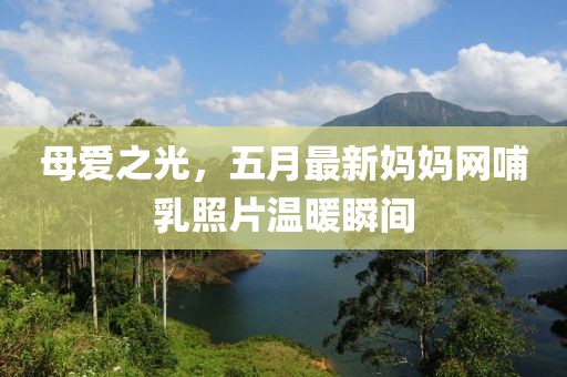 母爱之光，五月最新妈妈网哺乳照片温暖瞬间