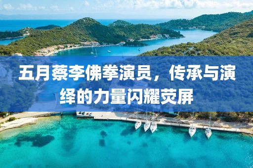 五月蔡李佛拳演员，传承与演绎的力量闪耀荧屏
