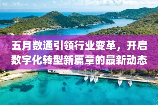五月数通引领行业变革，开启数字化转型新篇章的最新动态