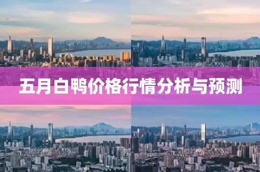 五月白鸭价格行情分析与预测