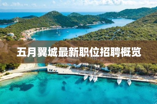 五月翼城最新职位招聘概览