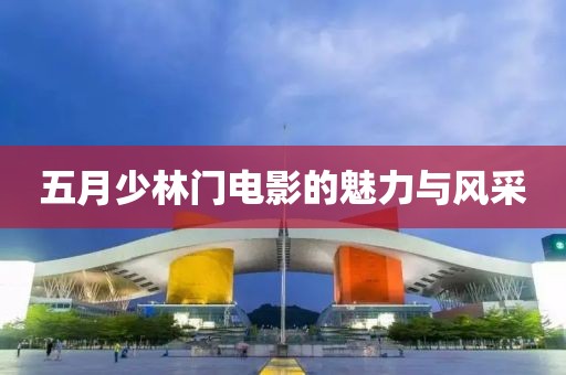 五月少林门电影的魅力与风采