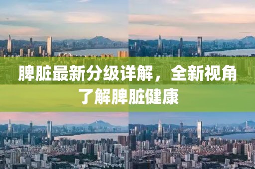 脾脏最新分级详解，全新视角了解脾脏健康