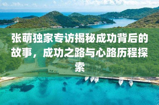 张萌独家专访揭秘成功背后的故事，成功之路与心路历程探索