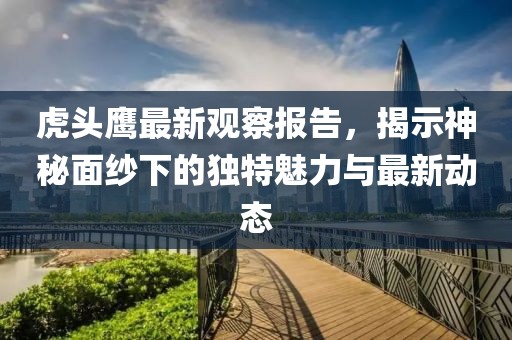 虎头鹰最新观察报告，揭示神秘面纱下的独特魅力与最新动态