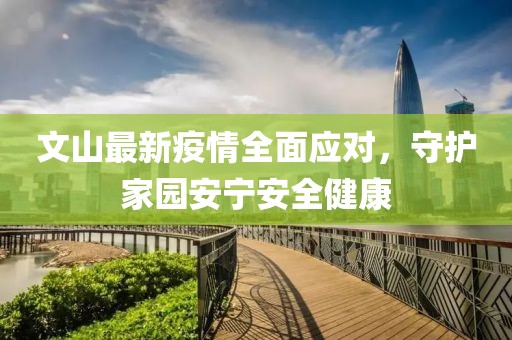 文山最新疫情全面应对，守护家园安宁安全健康