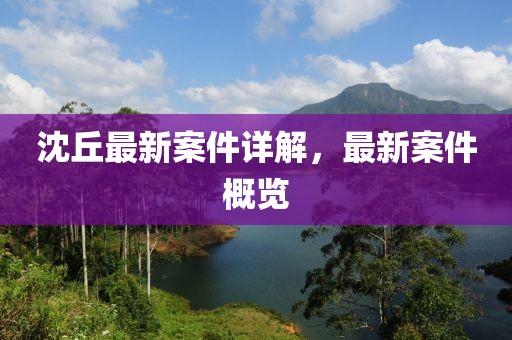 沈丘最新案件详解，最新案件概览