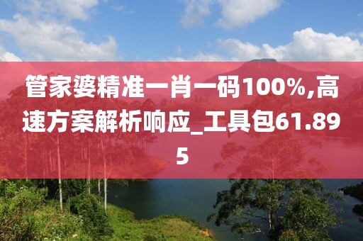 管家婆精准一肖一码100%,高速方案解析响应_工具包61.895