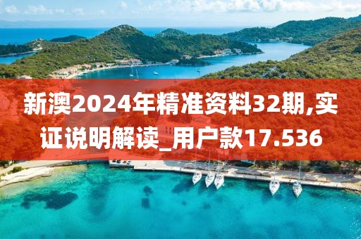 新澳2024年精准资料32期,实证说明解读_用户款17.536