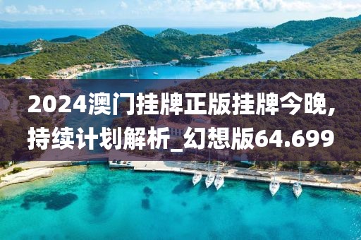 2024澳门挂牌正版挂牌今晚,持续计划解析_幻想版64.699