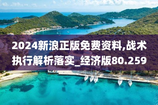 2024新浪正版免费资料,战术执行解析落实_经济版80.259