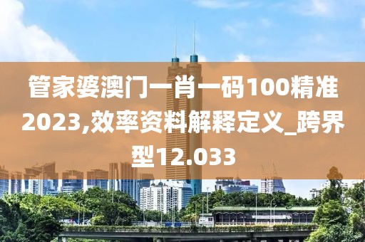 管家婆澳门一肖一码100精准2023,效率资料解释定义_跨界型12.033