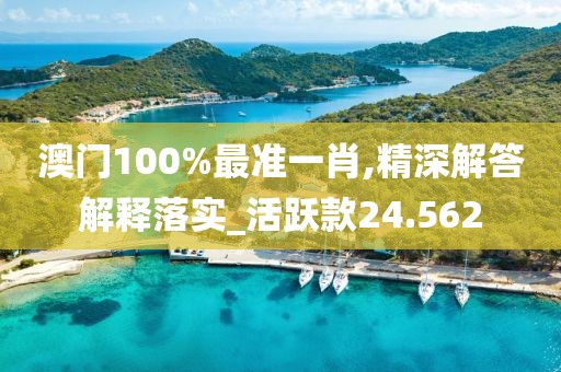 澳门100%最准一肖,精深解答解释落实_活跃款24.562